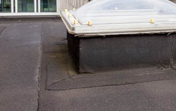 disadvantages of Higher Pertwood flat roofs
