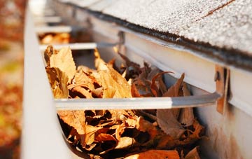 Higher Pertwood gutter cleaning companies