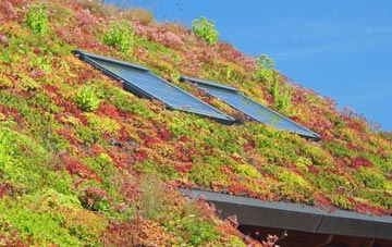 Higher Pertwood living roof systems
