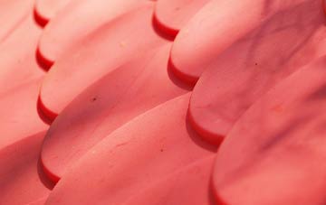 Higher Pertwood plastic roof costs