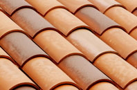 Higher Pertwood clay roofing