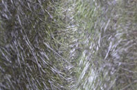 Higher Pertwood fibreglass roof work